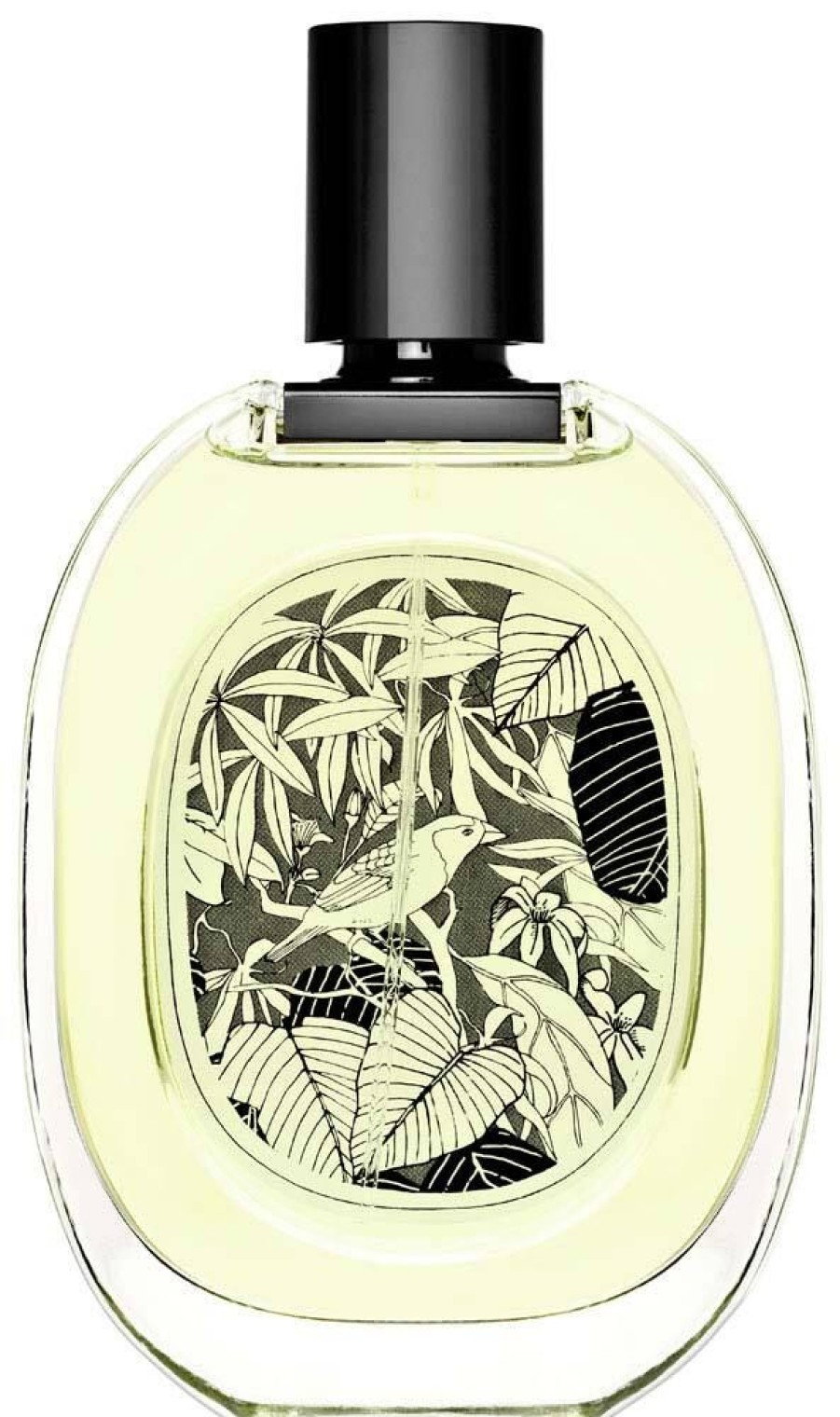 Perfume Diptyque Perfume Women | Vetyverio