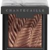 Makeup Chantecaille Eyeshadow | Luminous Eye Shade