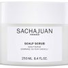 Hair SACHAJUAN Detox | Scalp Scrub